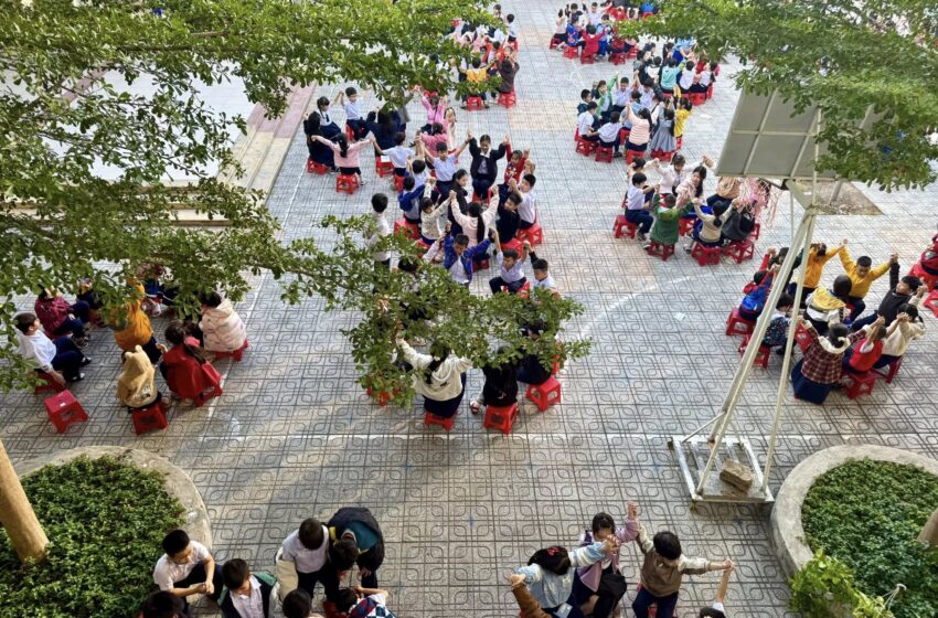  🌸 SINH HOẠT SAO NHI ĐỒNG 🌸